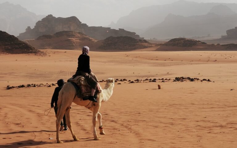 Camel ride in a rocky desert with mountains, Morocco